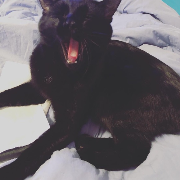 Hi, I’m Jenny! - Picture 11 of 16